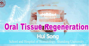 Oral Tissue Regeneration