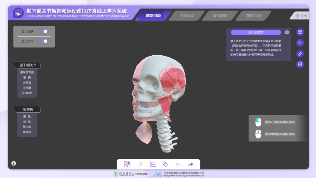 颞下颌关节解剖和运动虚拟仿真线上学习系统